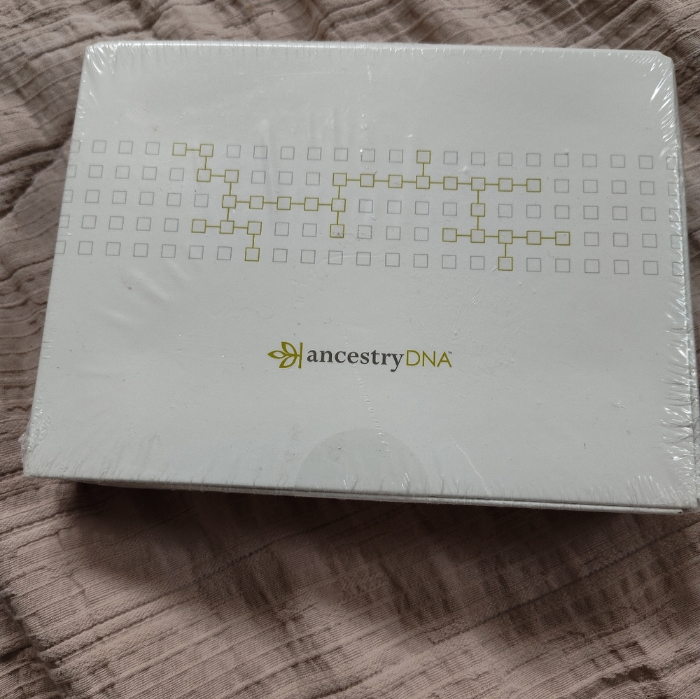 White Minimalist Box with Gold Accents